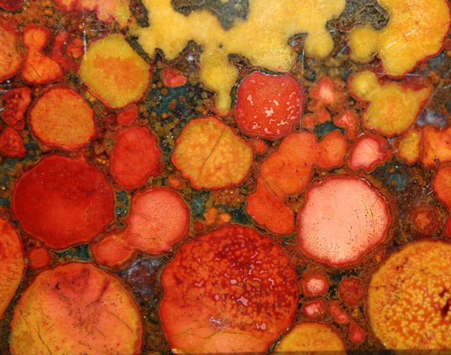 毒々しい模様が個性的で美しい!キングコブラジャスパーのピラミッド型標本(Orbicular Jasper)(その10)