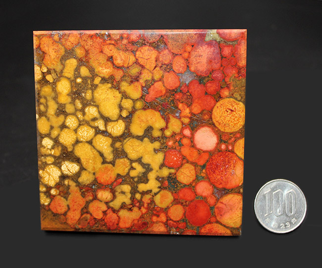 毒々しい模様が個性的で美しい!キングコブラジャスパーのピラミッド型標本(Orbicular Jasper)(その12)