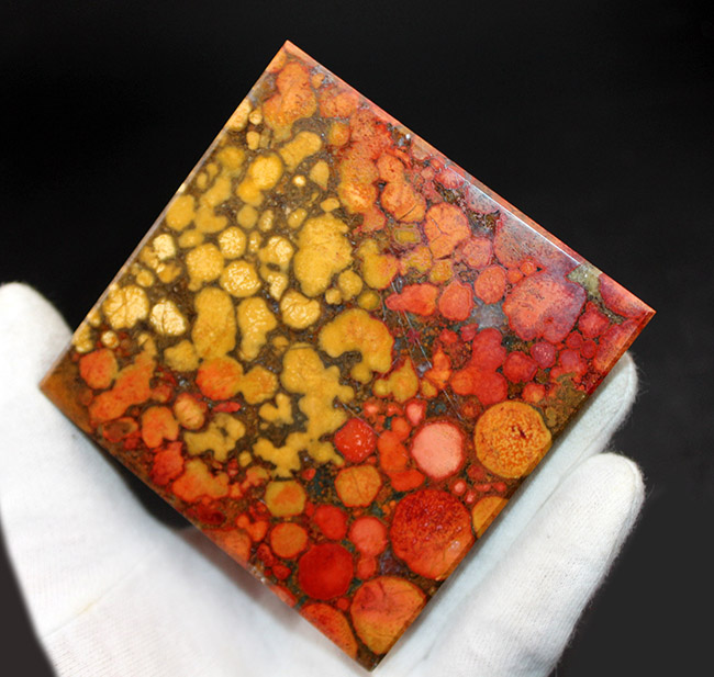 毒々しい模様が個性的で美しい!キングコブラジャスパーのピラミッド型標本(Orbicular Jasper)(その5)
