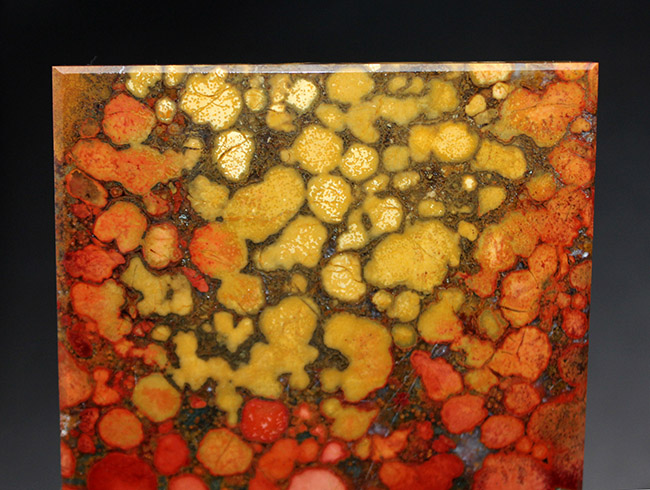 毒々しい模様が個性的で美しい!キングコブラジャスパーのピラミッド型標本(Orbicular Jasper)(その6)