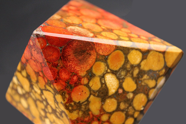 毒々しい模様が個性的で美しい!キングコブラジャスパーのピラミッド型標本(Orbicular Jasper)(その9)
