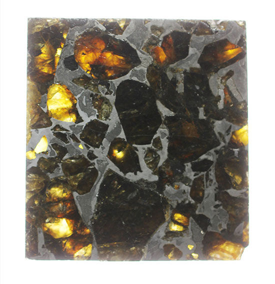 高品位！石鉄隕石パラサイトのスライス標本、ブラヒンパラサイト。カンラン石と鉄ニッケル合金から成る美しい模様の裏に隠された壮大なストーリー。（その1）
