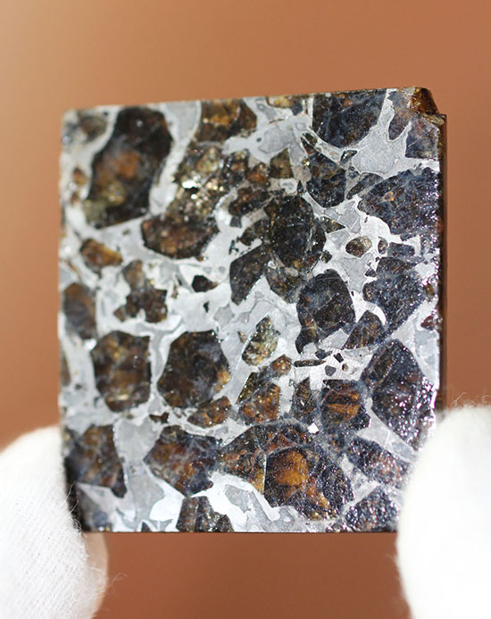 高品位！石鉄隕石パラサイトのスライス標本、ブラヒンパラサイト。カンラン石と鉄ニッケル合金から成る美しい模様の裏に隠された壮大なストーリー。（その11）