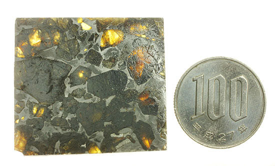 高品位！石鉄隕石パラサイトのスライス標本、ブラヒンパラサイト。カンラン石と鉄ニッケル合金から成る美しい模様の裏に隠された壮大なストーリー。（その12）