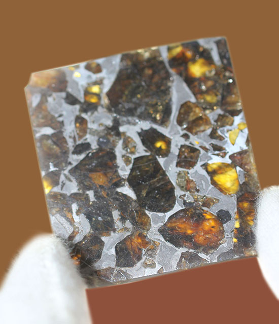 高品位！石鉄隕石パラサイトのスライス標本、ブラヒンパラサイト。カンラン石と鉄ニッケル合金から成る美しい模様の裏に隠された壮大なストーリー。（その2）