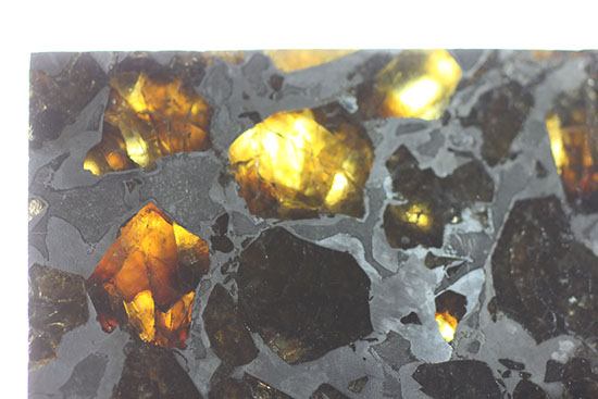 高品位！石鉄隕石パラサイトのスライス標本、ブラヒンパラサイト。カンラン石と鉄ニッケル合金から成る美しい模様の裏に隠された壮大なストーリー。（その4）