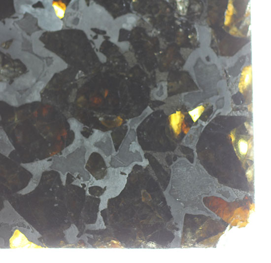 高品位！石鉄隕石パラサイトのスライス標本、ブラヒンパラサイト。カンラン石と鉄ニッケル合金から成る美しい模様の裏に隠された壮大なストーリー。（その5）