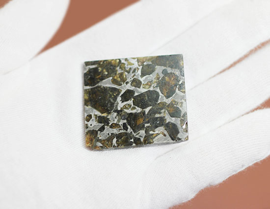 高品位！石鉄隕石パラサイトのスライス標本、ブラヒンパラサイト。カンラン石と鉄ニッケル合金から成る美しい模様の裏に隠された壮大なストーリー。（その7）
