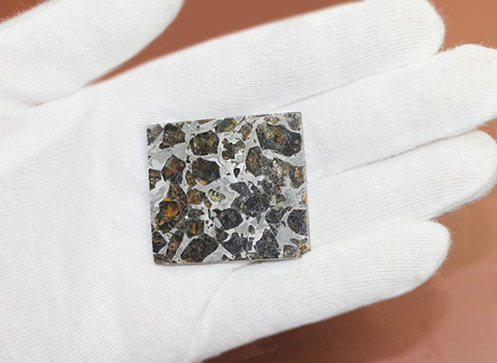 高品位！石鉄隕石パラサイトのスライス標本、ブラヒンパラサイト。カンラン石と鉄ニッケル合金から成る美しい模様の裏に隠された壮大なストーリー。（その9）