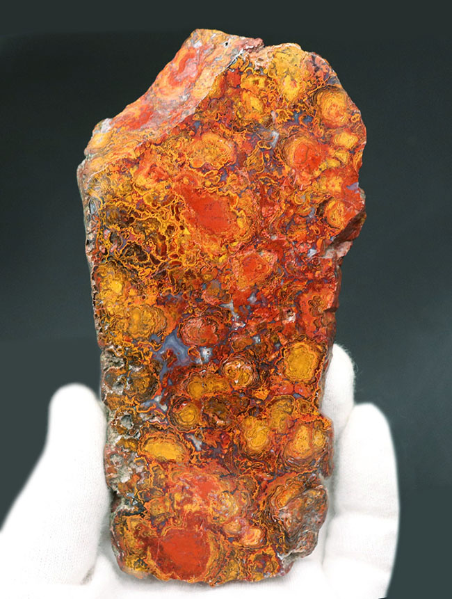 13センチ級、大きい、赤く鮮やか、ストロマトライトが内包されたハンガリー産の赤メノウ(Agate)(その1)
