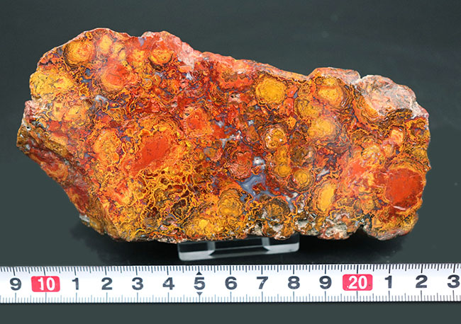 13センチ級、大きい、赤く鮮やか、ストロマトライトが内包されたハンガリー産の赤メノウ(Agate)(その11)