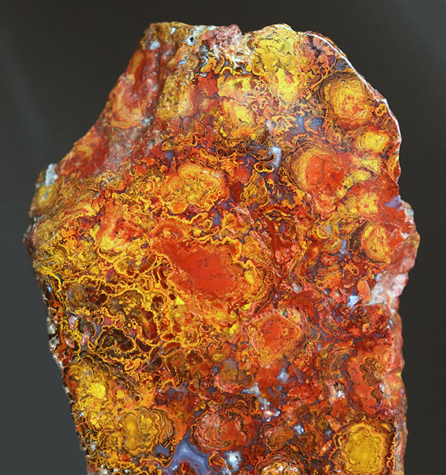 13センチ級、大きい、赤く鮮やか、ストロマトライトが内包されたハンガリー産の赤メノウ(Agate)(その2)