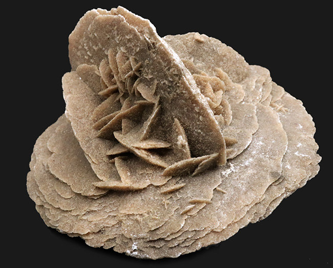 1キログラム超の巨大サイズ!モロッコ産砂漠の薔薇(Desert Rose)(その1)