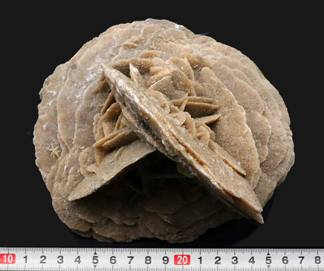 1キログラム超の巨大サイズ!モロッコ産砂漠の薔薇(Desert Rose)(その6)