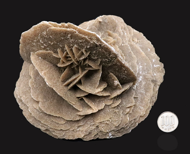 1キログラム超の巨大サイズ!モロッコ産砂漠の薔薇(Desert Rose)(その7)