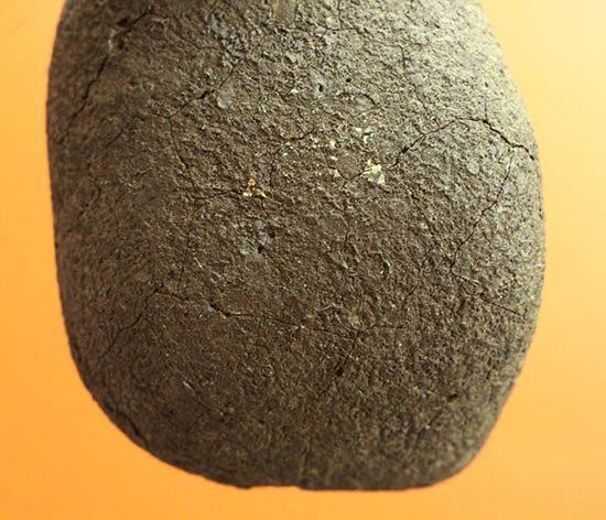絶品！４年前に世界中の話題となったチェリャビンスク隕石。高級ガラスケースと高級ネームカード付き！（その11）