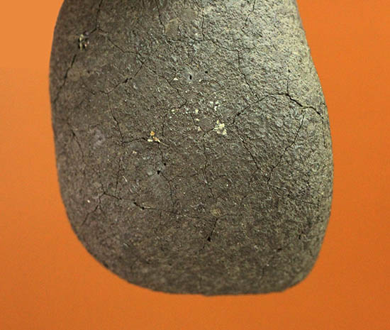 絶品！４年前に世界中の話題となったチェリャビンスク隕石。高級ガラスケースと高級ネームカード付き！（その9）