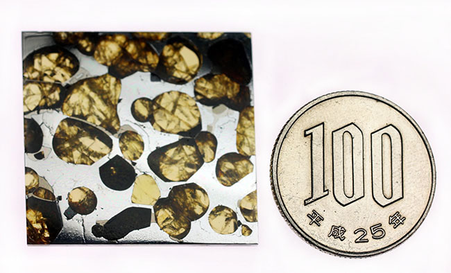 カンラン石の透明度にご注目下さい！世界で最も美しい隕石、石鉄隕石ブラヒンパラサイト（その12）