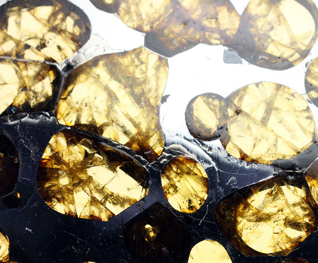 カンラン石の透明度にご注目下さい！世界で最も美しい隕石、石鉄隕石ブラヒンパラサイト（その3）