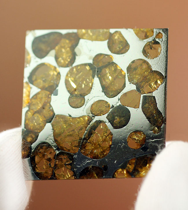 カンラン石の透明度にご注目下さい！世界で最も美しい隕石、石鉄隕石ブラヒンパラサイト（その4）
