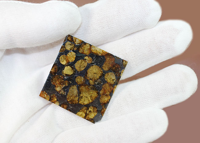 カンラン石の透明度にご注目下さい！世界で最も美しい隕石、石鉄隕石ブラヒンパラサイト（その5）