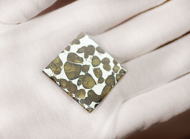 カンラン石の透明度にご注目下さい！世界で最も美しい隕石、石鉄隕石ブラヒンパラサイト（その7）