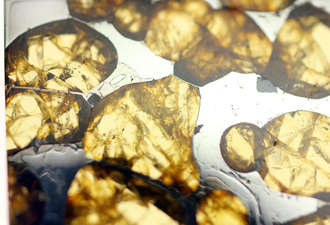 カンラン石の透明度にご注目下さい！世界で最も美しい隕石、石鉄隕石ブラヒンパラサイト（その8）