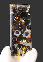 フレッシュなかんらん石にご注目！２０１６年発見、ケニヤ産の新しいパラサイト隕石（本体防錆処理済み）。オリジナルケース入。