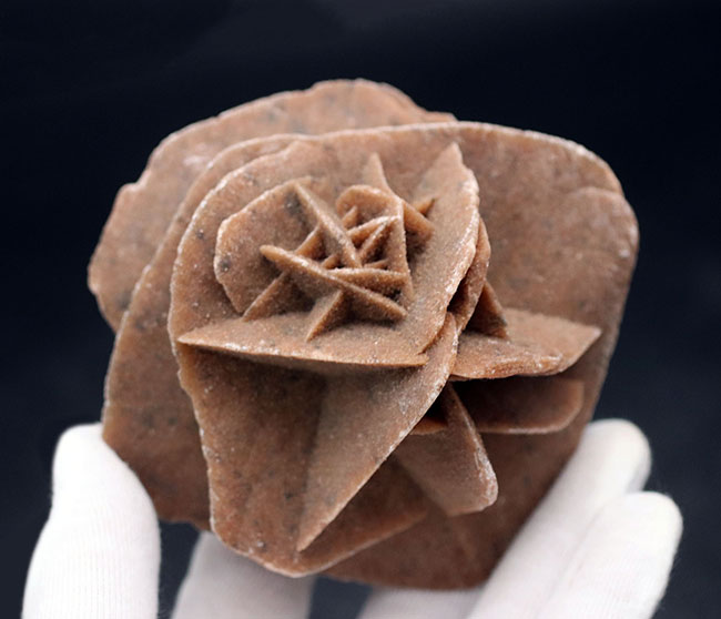 自然な作り上げた芸術品！良形の砂漠のバラ（Desert Rose）。ジプサム結晶（その2）