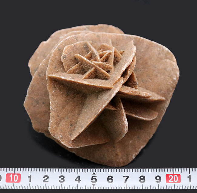 自然な作り上げた芸術品！良形の砂漠のバラ（Desert Rose）。ジプサム結晶（その7）