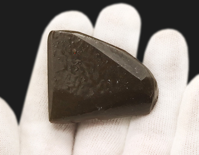 非常に鮮やかなグリーンとレッドを呈する、カナダ産のアンモライト(Ammolite)のピース(その6)