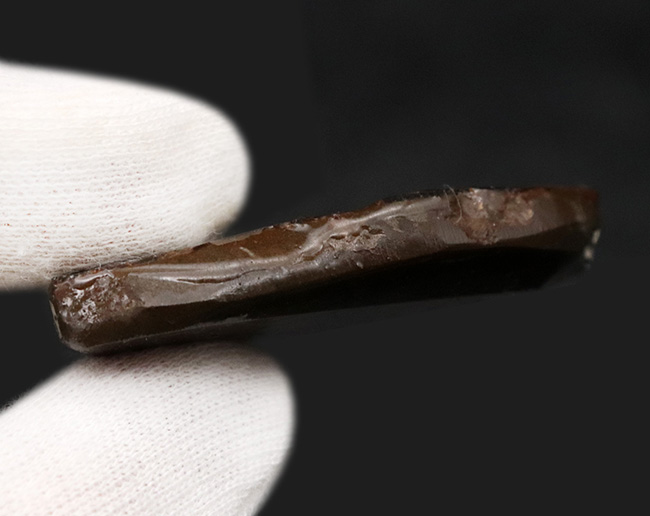 非常に鮮やかなグリーンとレッドを呈する、カナダ産のアンモライト(Ammolite)のピース(その7)