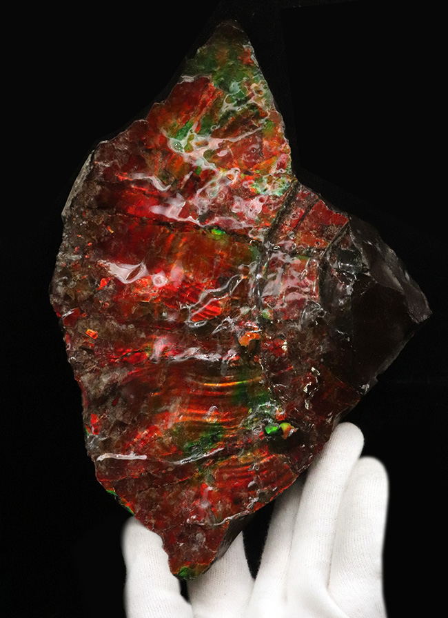 驚愕の美しさ!過去最高と言って良い、凄まじい輝きを放つ、アンモライト(Ammolite)のブロック(その1)