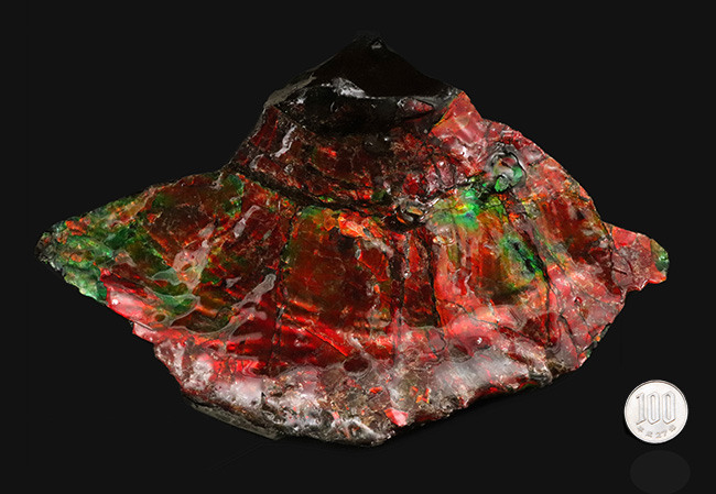 驚愕の美しさ!過去最高と言って良い、凄まじい輝きを放つ、アンモライト(Ammolite)のブロック(その10)