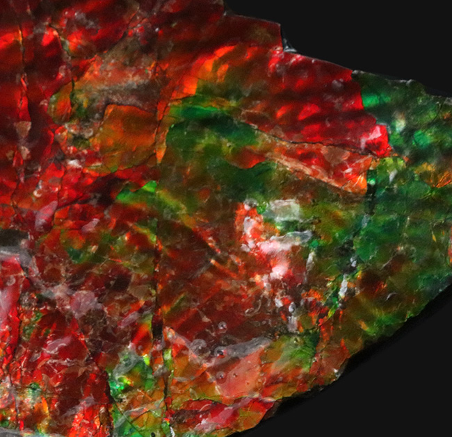 驚愕の美しさ!過去最高と言って良い、凄まじい輝きを放つ、アンモライト(Ammolite)のブロック(その2)
