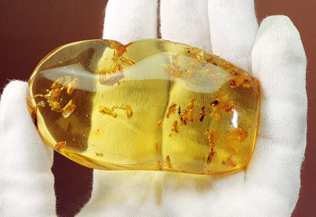 特大!コーパルの中に古代の泡と大きな虫が多数内包。コロンビア産コーパル(Copal)(その11)