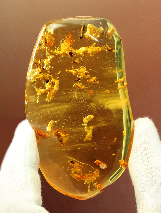 特大！コーパルの中に古代の泡と大きな虫が多数内包。コロンビア