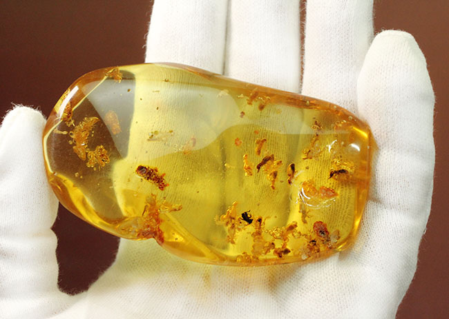 特大!コーパルの中に古代の泡と大きな虫が多数内包。コロンビア産コーパル(Copal)(その3)