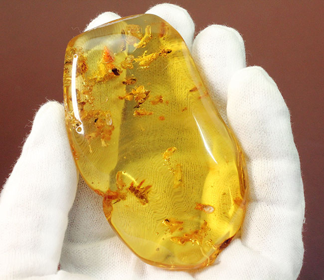 特大!コーパルの中に古代の泡と大きな虫が多数内包。コロンビア産コーパル(Copal)(その5)