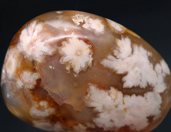希少!一足早く花見をしませんか?桜の模様が現れた特殊なメノウ(Agate)、桜瑪瑙(その1)