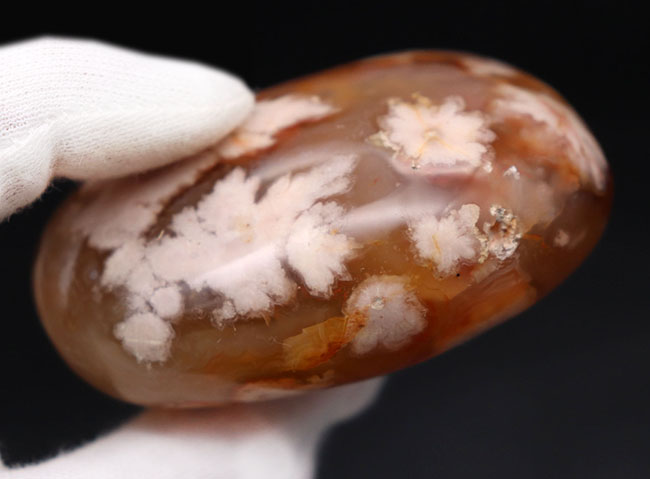 希少!一足早く花見をしませんか?桜の模様が現れた特殊なメノウ(Agate)、桜瑪瑙(その10)