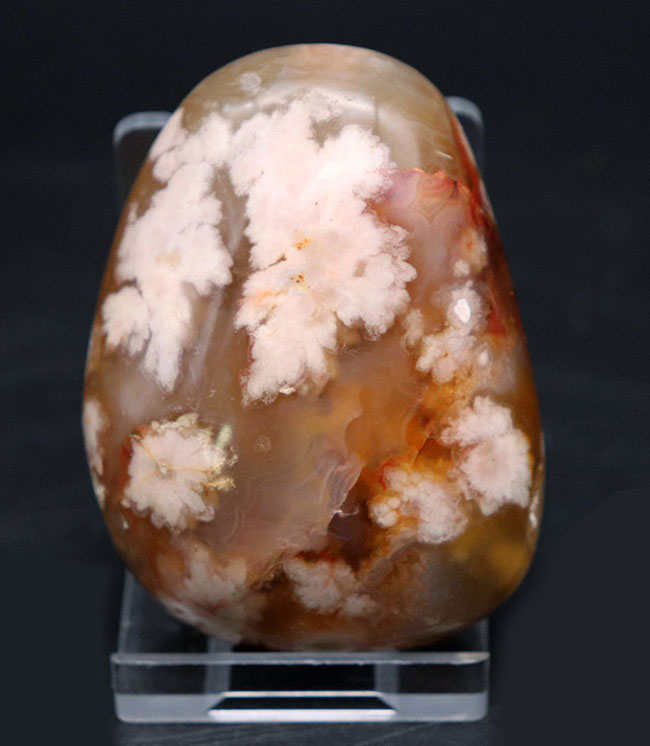 希少!一足早く花見をしませんか?桜の模様が現れた特殊なメノウ(Agate)、桜瑪瑙(その2)