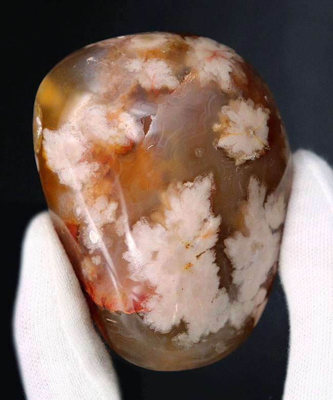 希少!一足早く花見をしませんか?桜の模様が現れた特殊なメノウ(Agate)、桜瑪瑙(その3)