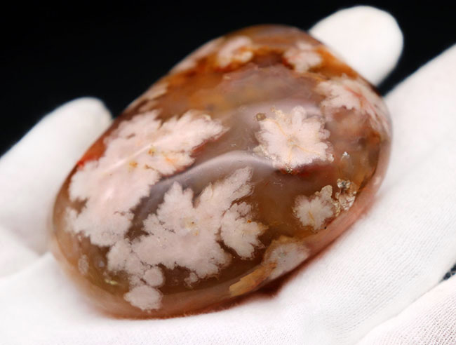 希少!一足早く花見をしませんか?桜の模様が現れた特殊なメノウ(Agate)、桜瑪瑙(その4)