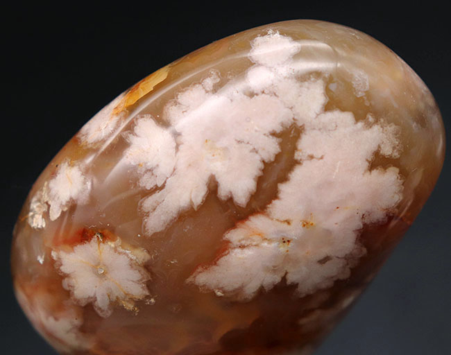 希少!一足早く花見をしませんか?桜の模様が現れた特殊なメノウ(Agate)、桜瑪瑙(その8)
