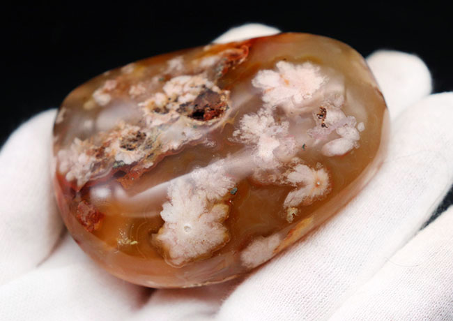 希少!一足早く花見をしませんか?桜の模様が現れた特殊なメノウ(Agate)、桜瑪瑙(その9)