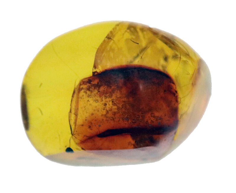 1.2cmに凝縮された密度の高い小宇宙……気泡と翅虫が奏でるドミニカ産琥珀（Amber）の天然ルース（その2）