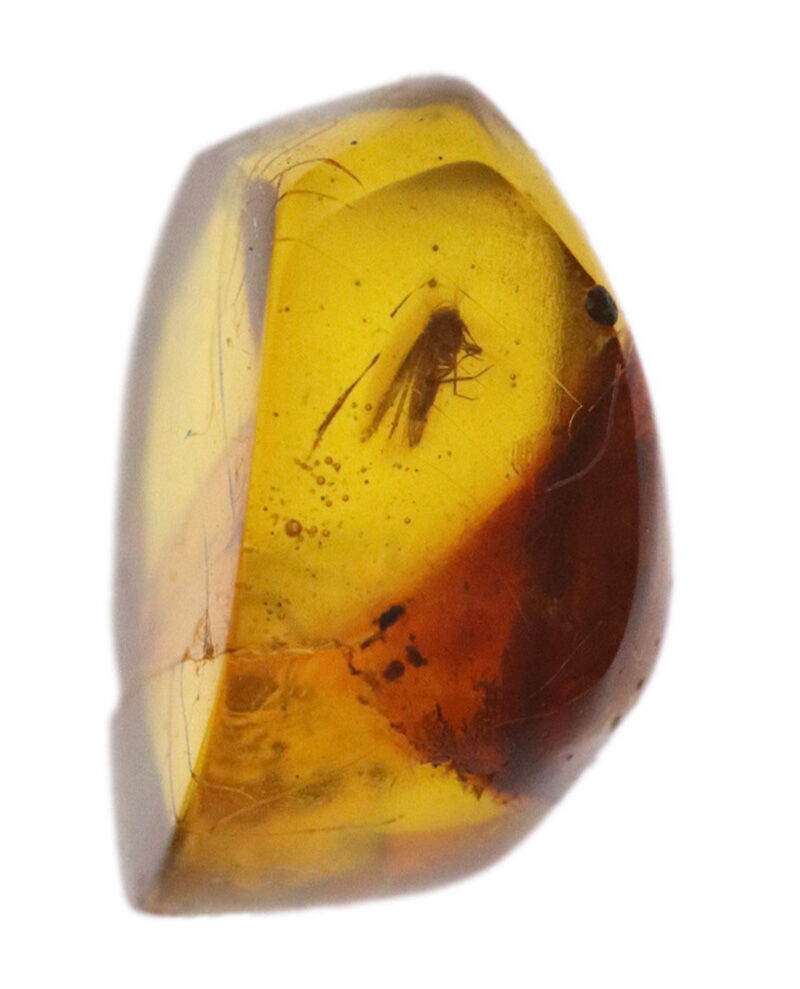 1.2cmに凝縮された密度の高い小宇宙……気泡と翅虫が奏でるドミニカ産琥珀（Amber）の天然ルース（その3）