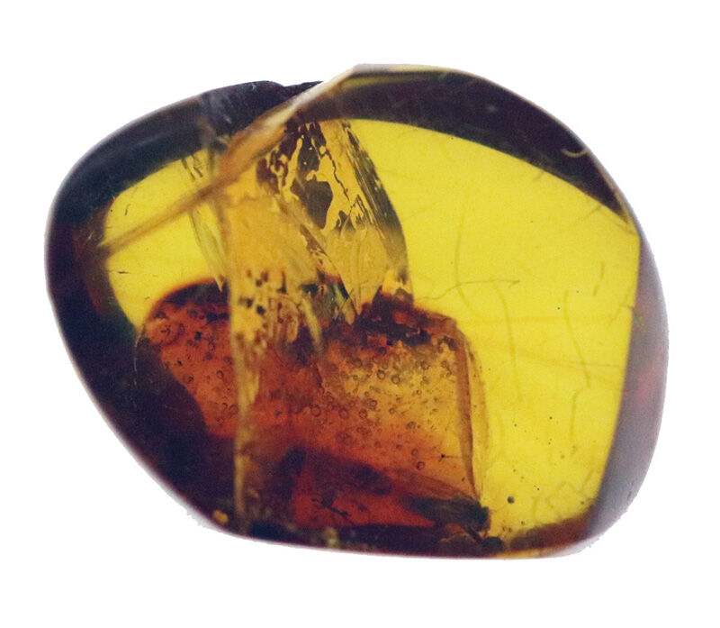 1.2cmに凝縮された密度の高い小宇宙……気泡と翅虫が奏でるドミニカ産琥珀（Amber）の天然ルース（その4）