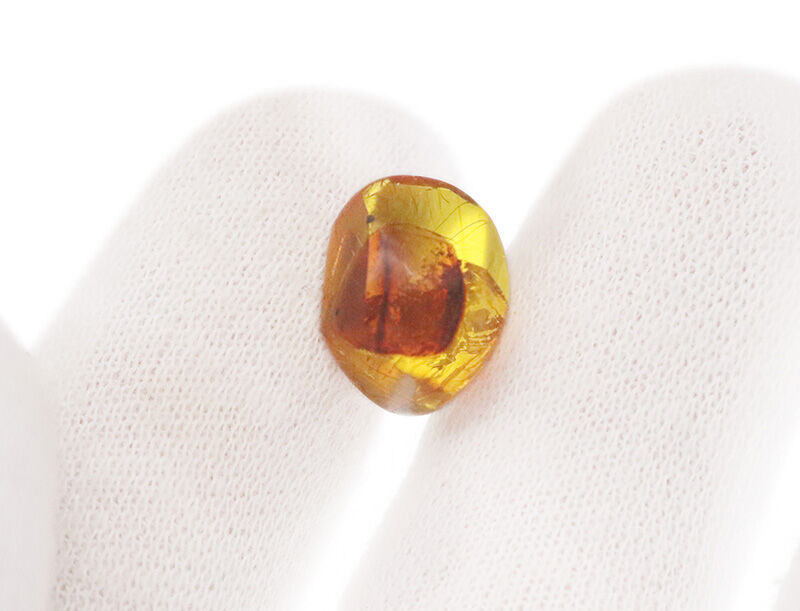 1.2cmに凝縮された密度の高い小宇宙……気泡と翅虫が奏でるドミニカ産琥珀（Amber）の天然ルース（その5）